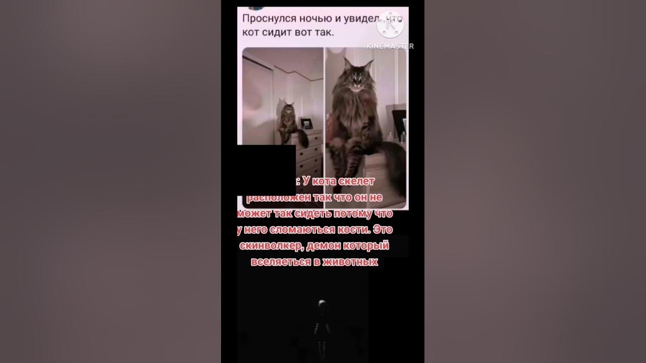 скинволкер - YouTube