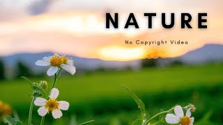 Beautiful Nature | Landscape | Background Video | No Copyright screenshot 3