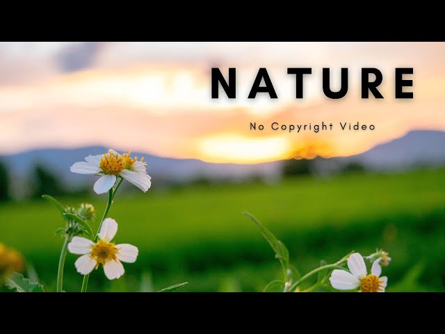 Beautiful Nature | Landscape | Background Video | No Copyright class=