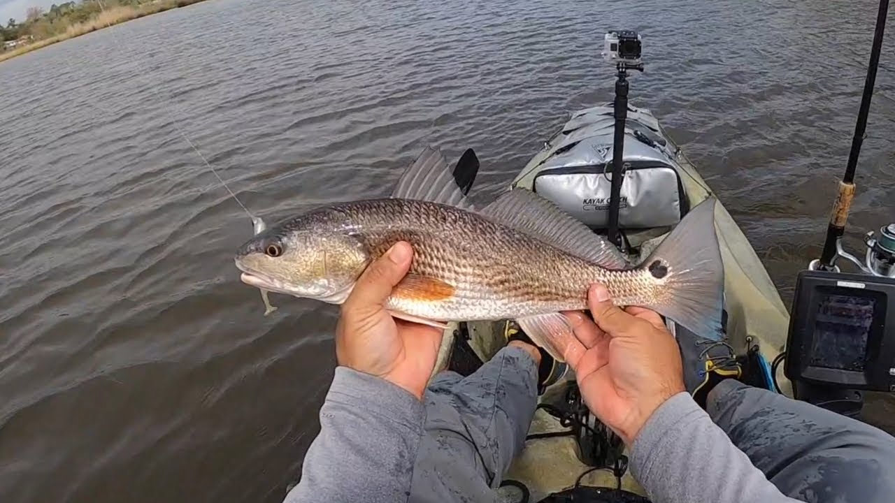 Kayak Fishing Choctawhatchee Bay Redfish and Bass YouTube