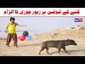 Number daar Kutay Ka Shoqeen Zewar Chori New Funny Video | Most Comedy Funny Video | You Tv Hd 2025