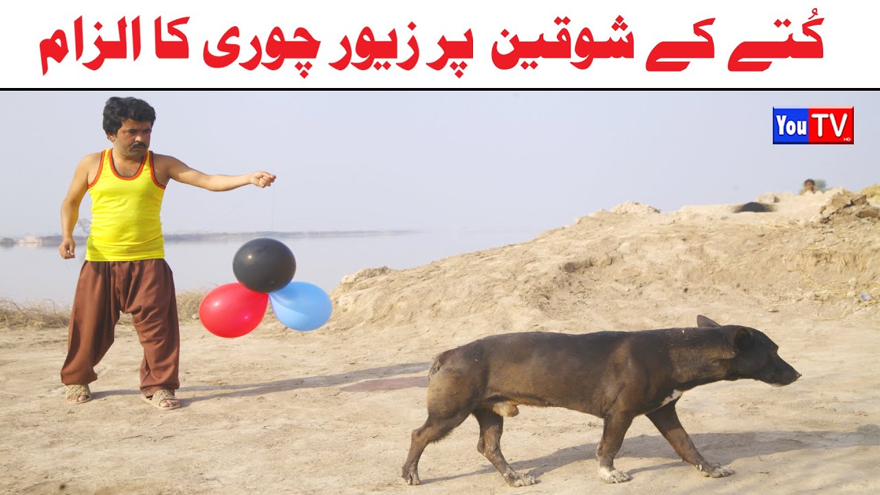 Number daar Kutay Ka Shoqeen Zewar Chori New Funny Video | Most Comedy Funny Video | You Tv Hd 2025