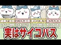 実はサイコパス?ハチワレの危機感がないシーンまとめ【ゆっくり解説】