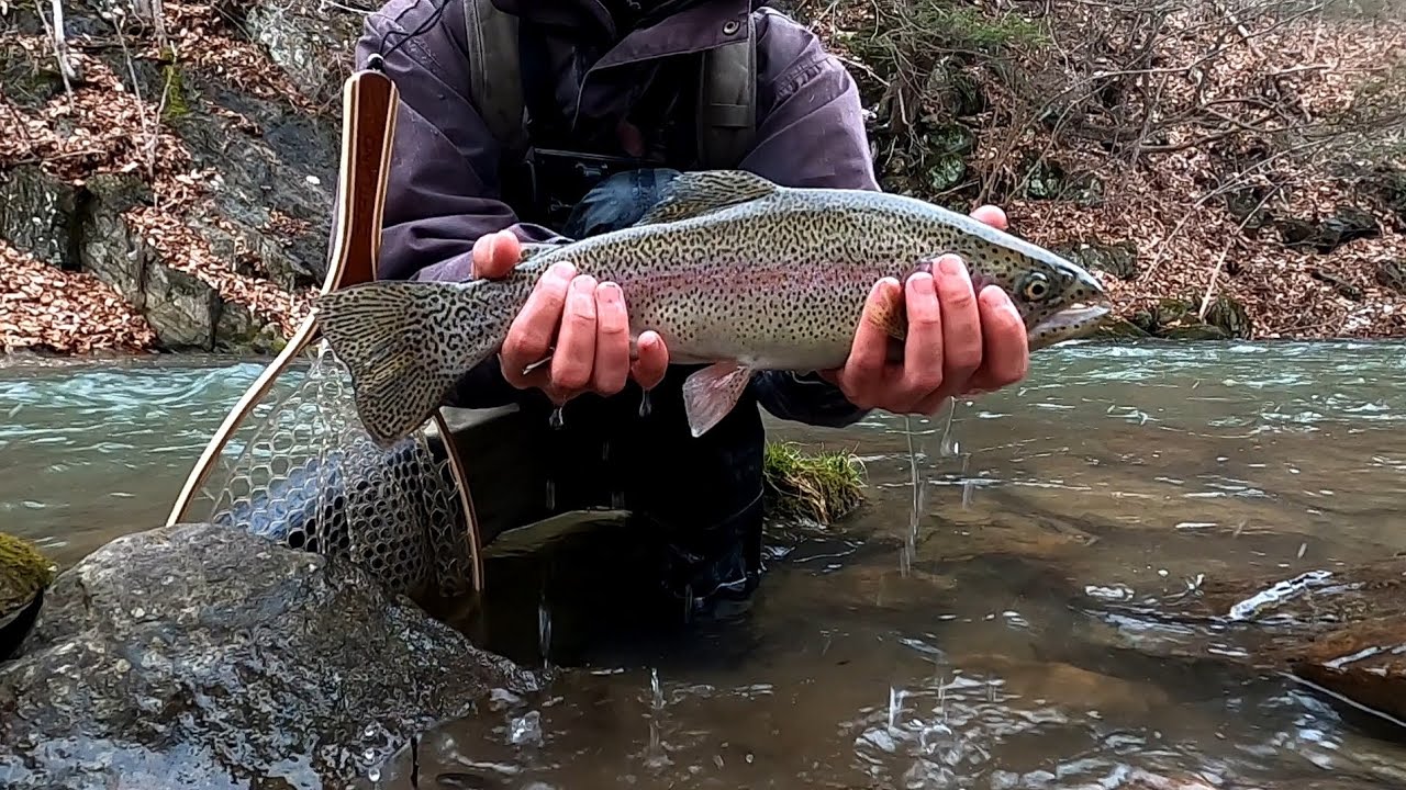 fly fishing with streamers for trout in winter. YouTube