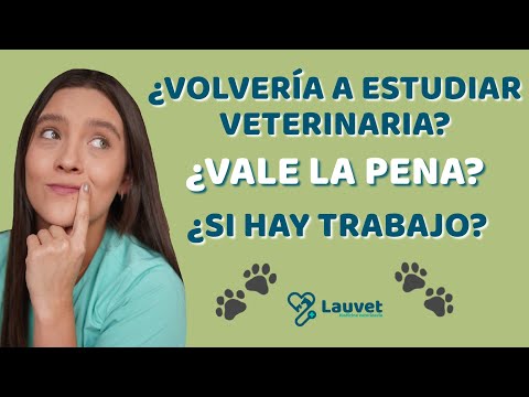 Video: ¿Es el trabajo de su veterinario mantener bajo el costo del cuidado?