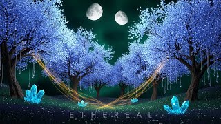 Ethereal Night Forest | Ambient Music for Rest & Dreams