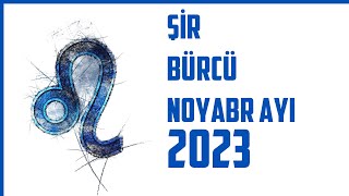 Şir Bürcü NOYABR Ayı 2023 - Noyabr ayında Şir bürcünü nələr gözləyir?