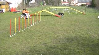 Agi Training 25 3 15