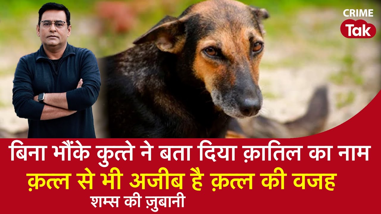 EP 1585: बिना भौंके कुत्ते ने बता दिया क़ातिल का नामक़त्ल से भी अजीब है क़त्ल की वजह