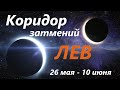 ЛЕВ ♌ КОРИДОР ЗАТМЕНИЙ 🚀 с 26 мая -  по 10 июня 2021👍 расклад на ПРОЗРАЧНОЙ КОЛОДЕ таро ! 🕑