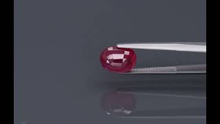 MVI 4684