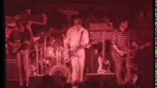 The Chameleons  Return Of The Roughnecks   Discoteca 666. Barcelona.avi