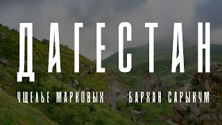 Фототерапия 21. Дагестан. Пустыня, маки и тишина.