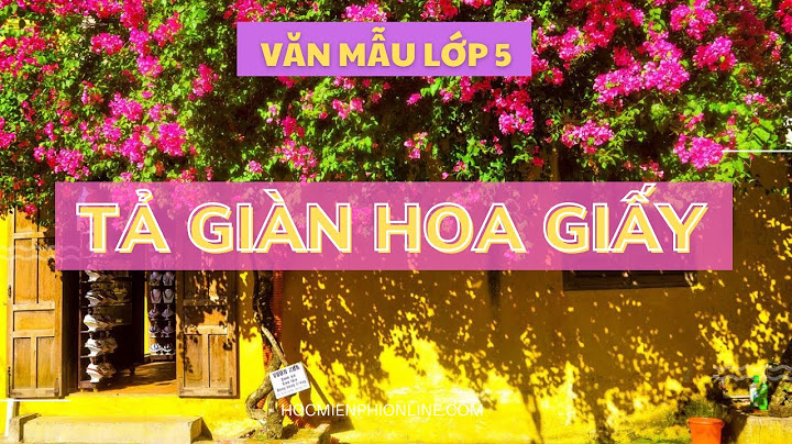 Bài văn tả một giàn dây leo hoa giấy