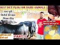 MILK INCREASE FORMULA IN DAIRY FARM 👍 दूध बाल्टी भर कर देगी भैंस 🛑 सस्ता नहीं अच्छा खिलाओँ पशुओं को