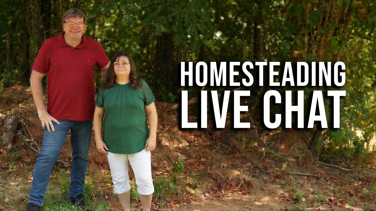 Homesteading Live Q & A Live Stream
