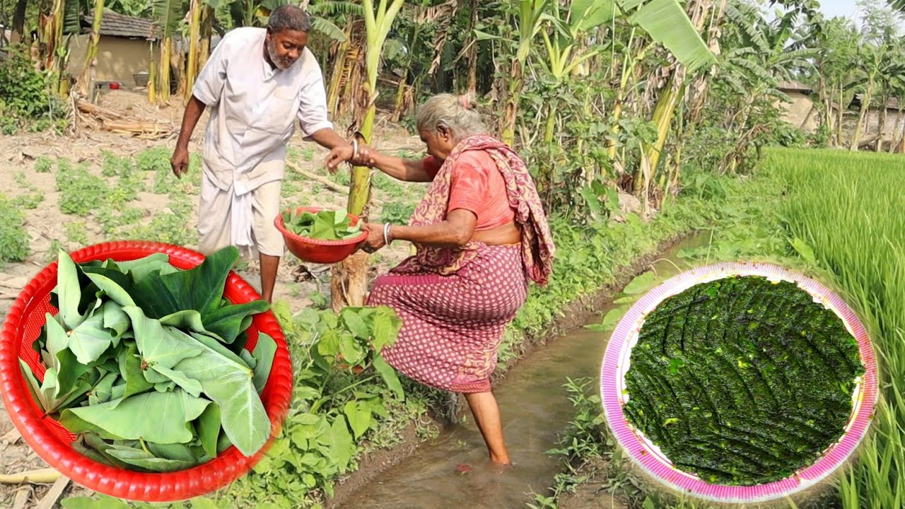 কচু পাতার অসাধারণ রেসিপি.taro leaf recipe ||wonderful recipe of taro leaf village cooking By Grandma