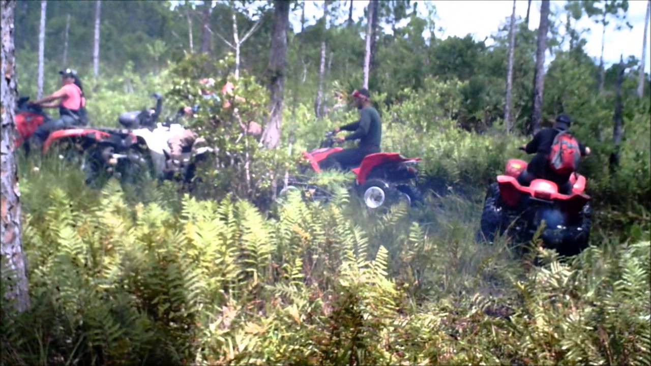 Riding at Holopaw FL