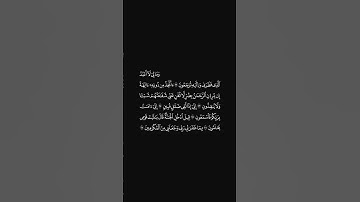 الشيخ احمد حمادي سورة يس