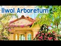 Ilwol Arboretum in Suwon 🌿A Warm Breeze and a Walk in Nature | Gyeonggi-do | viewKorea365 4K HDR