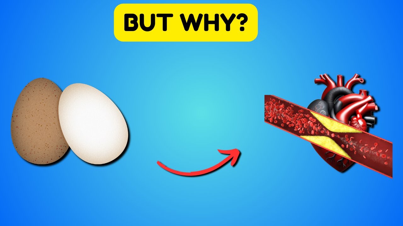 Are Eggs Good Or Bad For Your Heart Shocking Truth Revealed YouTube are-eggs-good-or-bad-for-your-heart-shocking-truth-revealed-youtube