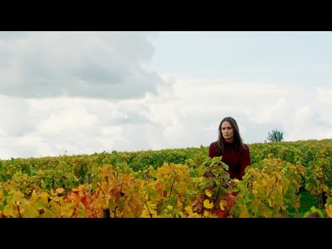 Возвращение в Бургундию - Трейлер на Русском | 2017 | 1080p