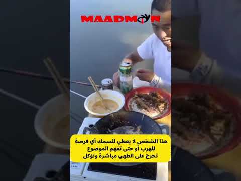 شاهد مدى روعة هذا الصياد يخرج السمكة على الطهي مباشرة والأكل