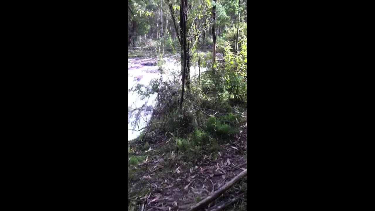 Macalister River Campsite