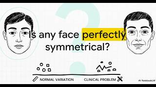 Is Your Face Asymmetrical? Heres What Dentists Look For