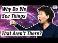 Why Do We See Things That Aren't There?
