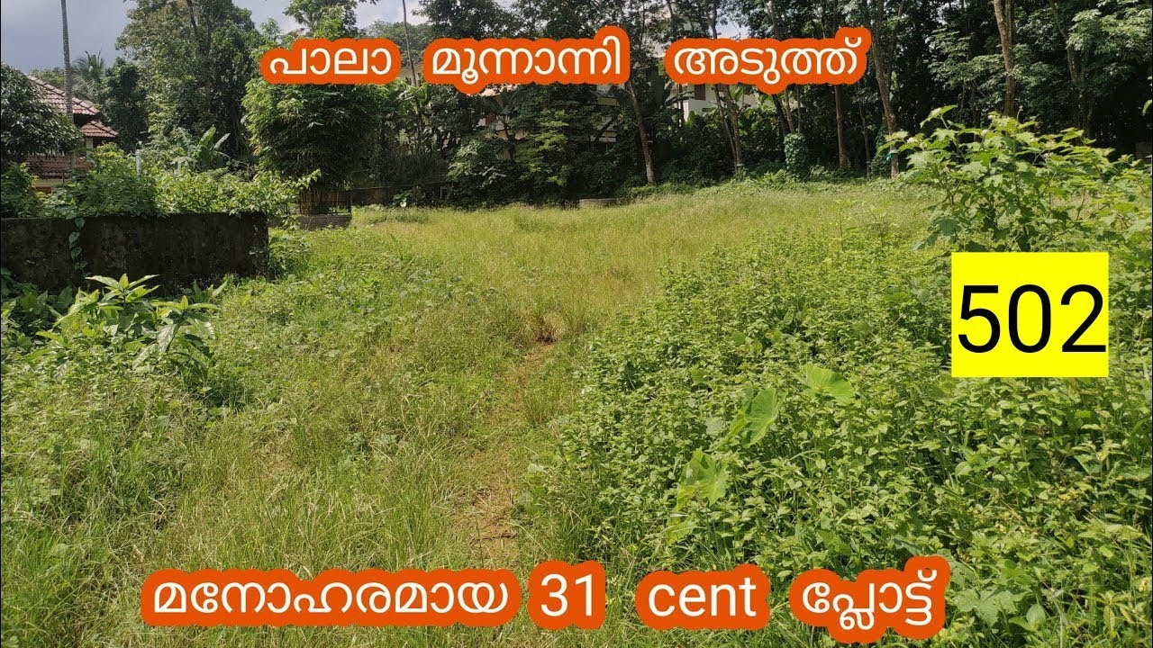 31 cent plot for sale in pala moonanni landforsale ploforsale 