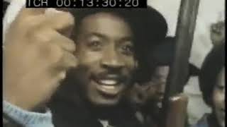 Real Lives Gang City 1984 Los Angeles