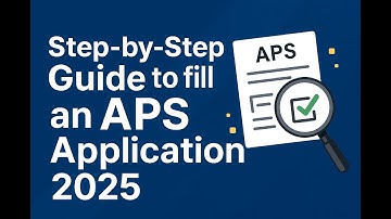 3. Step-by-Step Guide to fill an APS Application 2025