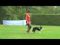 Jorie vom sonnigen garten obedience fci 1 kv bderstadt