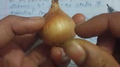 electric potential due to spherical charge distribution 3rd sem phy important questions