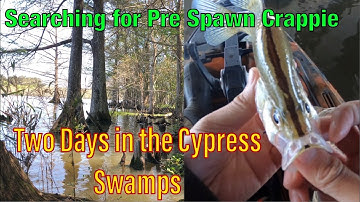 Pre Spawn Crappie | Finding Crappie in a Cold Front