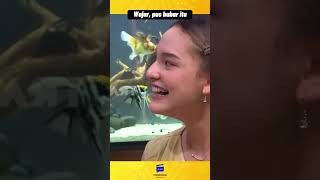 Wajar Marsha Lahir Pas Komandan Andre Bubar Kondre Malumalu shorts