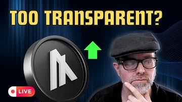 Staci Warden addresses Algorand Foundation transparency report concerns