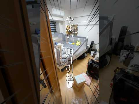 【引っ越し】サカイの荷造りサービスが便利過ぎた！