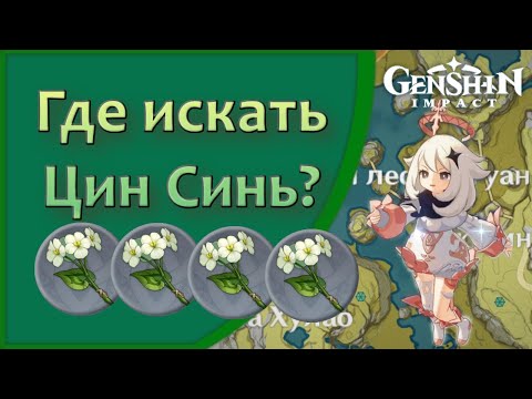 Genshin Impact | Где искать цветы Цин Синь?