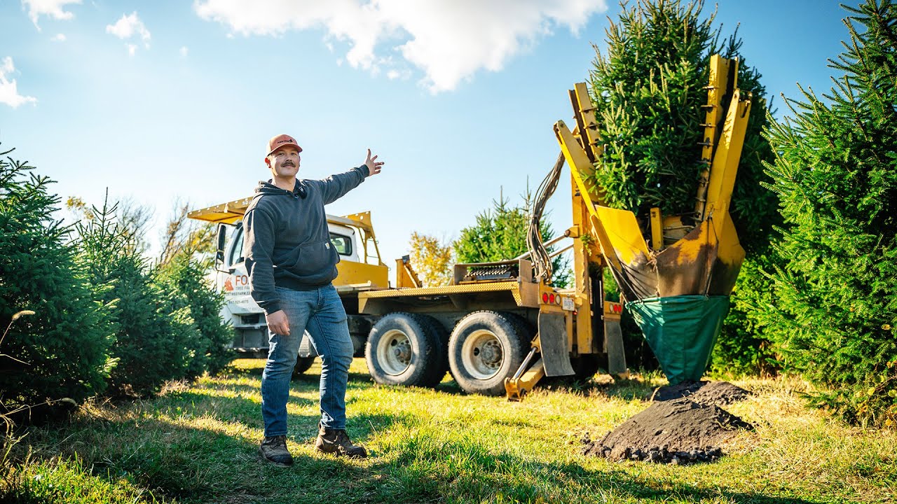 Moving 500 Trees In One Year | The Process | Big John 65" Tree Spade