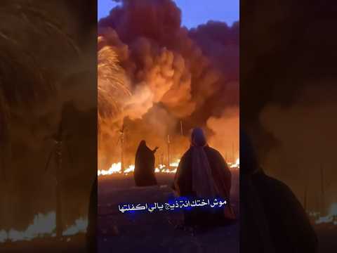 وينك يانور العين 