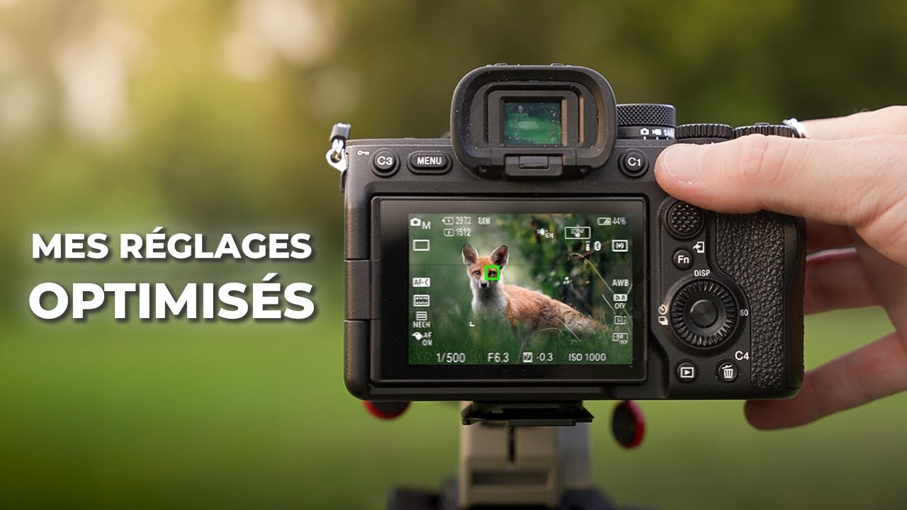 TOUS mes RÉGLAGES pour la Photo Animalière