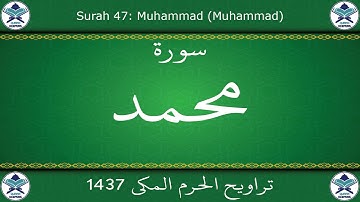 تراويح الحرم المكي 1437 - سورة محمد