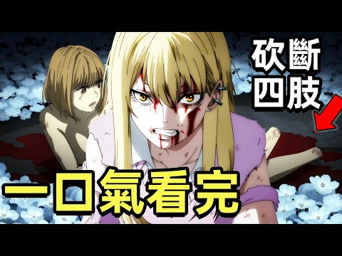 一口氣看完【魔女與野獸】1~12全集完整版，最強猛男被變成女人，四月新番