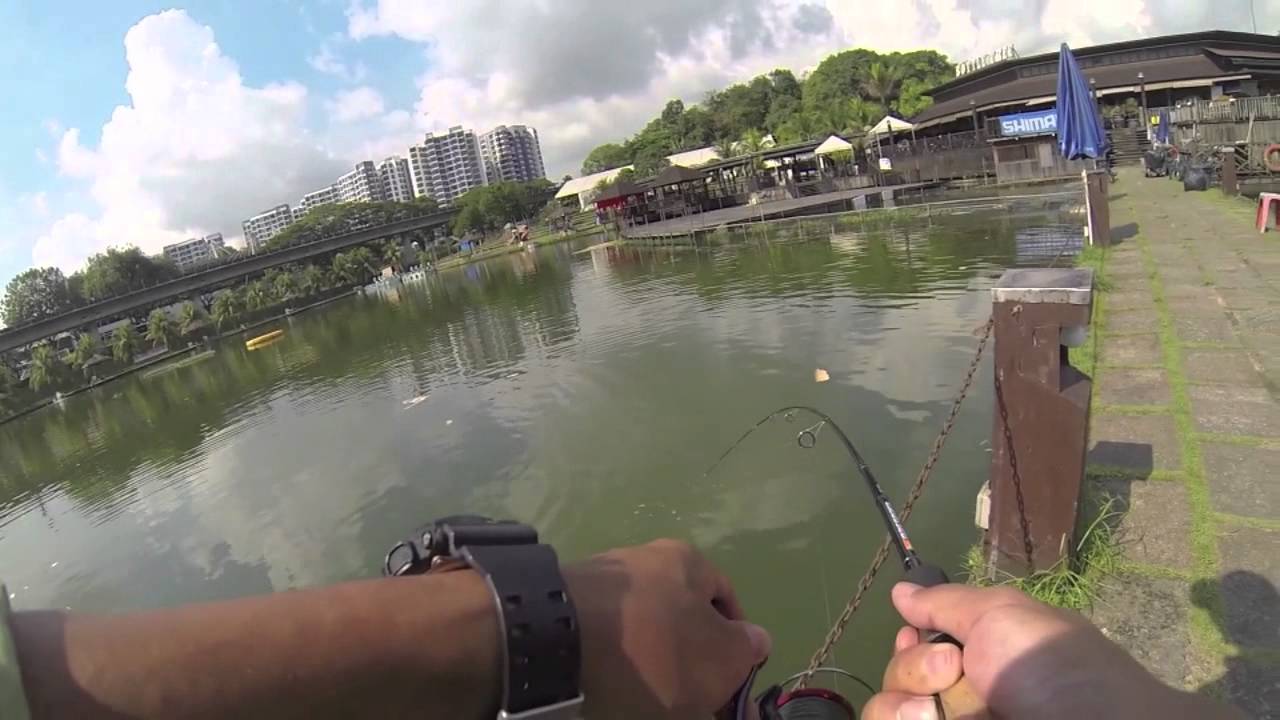 Fishing at Bottle Tree Park YouTube