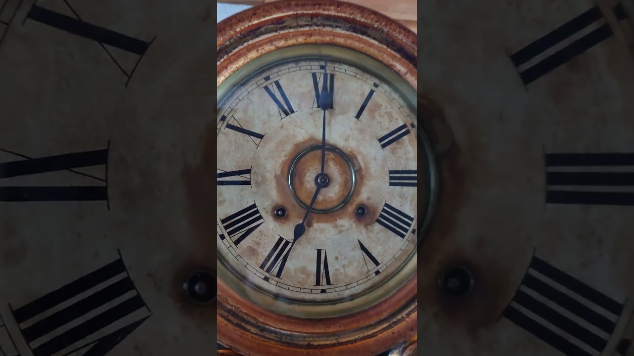 〈完動・美品〉E.INGRAHAM　金箔本四ツ丸達磨ゼンマイ振り子時計 完動・美品〉E INGRAHAM 金箔本四ツ丸達磨ゼンマイ振り子時計