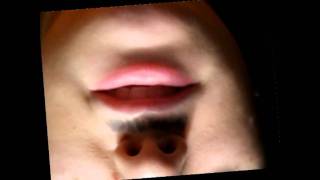 Lolita Literature Project.avi
