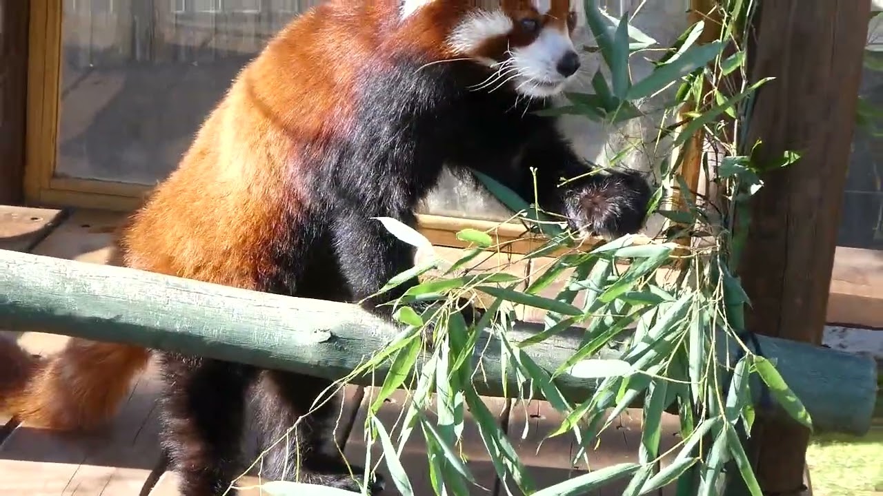 違った〜 - YouTube