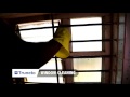 Bathroom Cleaning Process - Window Cleaning in Bangalore - Truneto